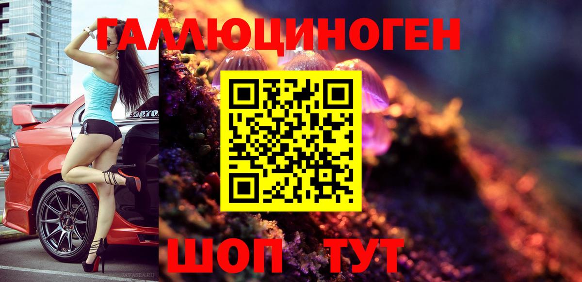 Галлюциногенные грибы Psilocybine cubensis Нижний Тагил