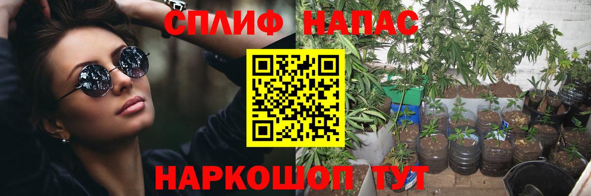 Шишки марихуана семена  МАРИХУАНА тримм  Вход с VPN  Канабис SATIVA & INDICA  Нижний Тагил 